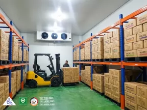 4 Manfaat Cold Storage atau Penyimpanan Beku